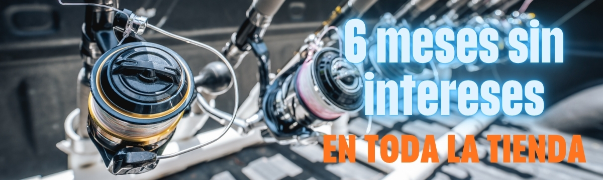 6 MESES SIN INTERESES
