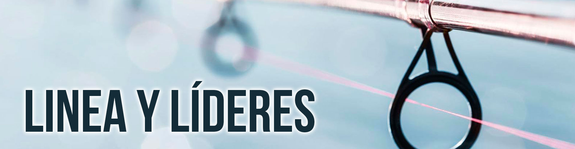 LINEA Y LIDERES
