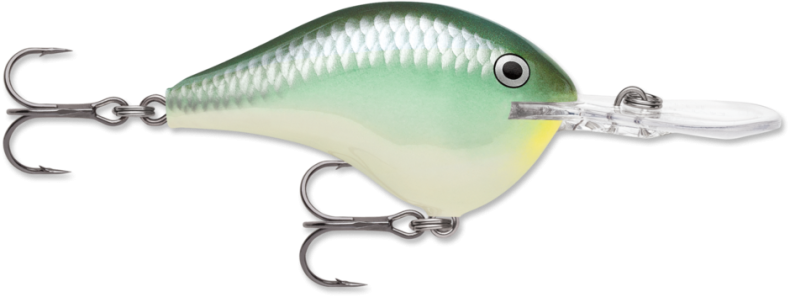 Rapala Esca Superficie Flash-X Skitter 22 HDWHU – 22cm 33g Per Pesca A Traina E Spinning, Unisex