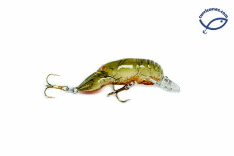 60-STREAM CRAWFISH
