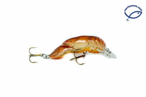 35-CAJUN CRAWDAD
