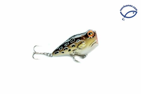 512-CRICKET FROG
