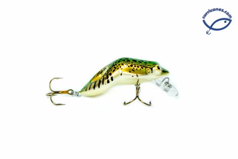 61-LEOPARD FROG
