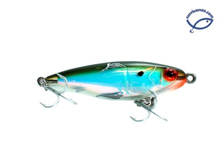 18-GREEN BACK, WHITE BELLY, SILVER SCALE