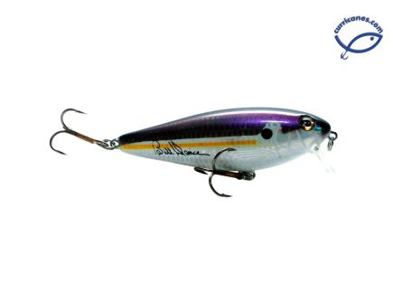 DTS-TENNESSEE SHAD
