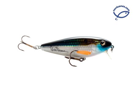 DGS-GIZZARD SHAD
