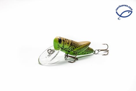 97-GREEN GRASSHOPPER
