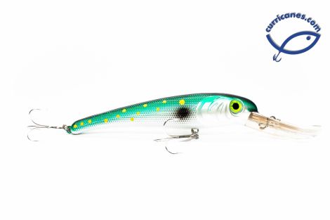SPANISH MACKEREL