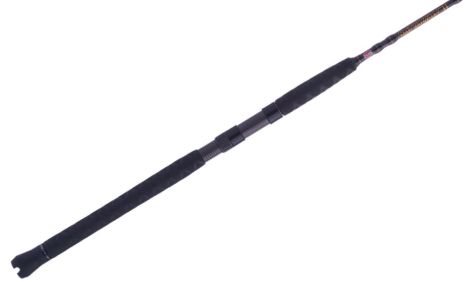 PENN CAÑA SPINNING INSHORE BATALLION BATINII1530S70