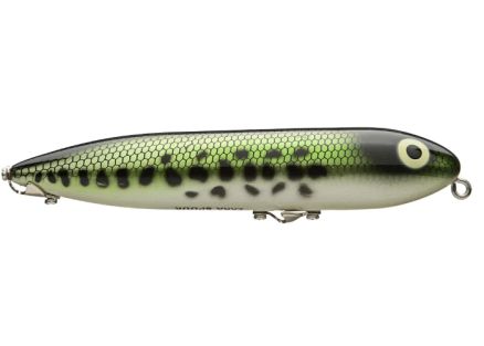 BB-BABY BASS
