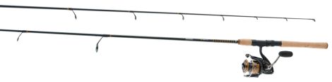 DAIWA COMBO INSHORE BG4000/701MH