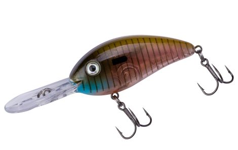 522-BLUEGILL