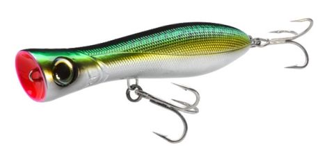 CM-MACKEREL