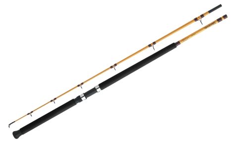 DAIWA CAÑA SURF SPINNING FT FTS902MFS (2 TRAMOS)