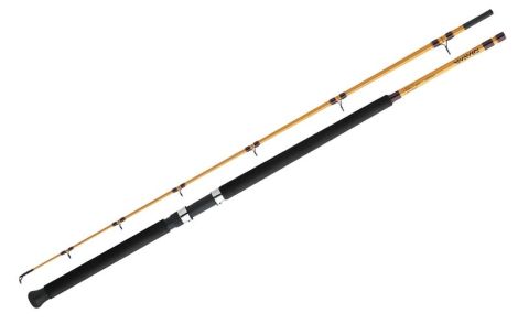 DAIWA CAÑA SURF SPINNING FT FTS1102MFS (2 TRAMOS)