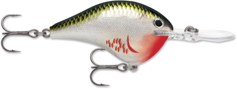 RAPALA CURRICAN DIVES-TO-SERIES DT06