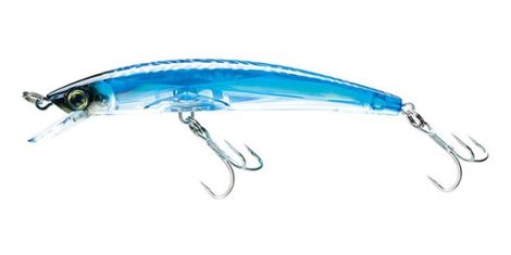 C24-BLUE MACKEREL