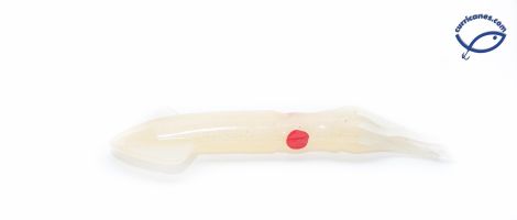 BOONE CALAMAR SQUID 9 PULGADAS