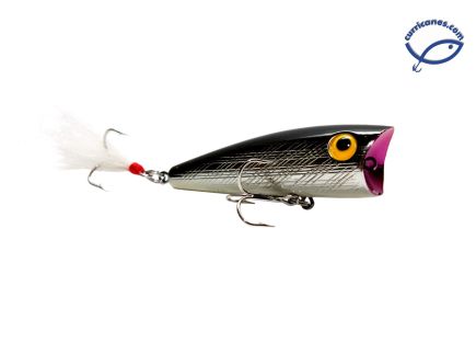 REBEL CURRICAN POP-R P60