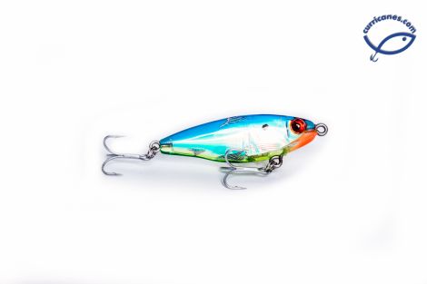 CHBL-BLUE BACK, TRANSLUCENT CHARTREUSE BELLY, SILVER SCALE
