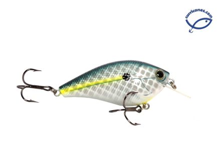 LIVINGSTON CURRICAN PRIMETYME SQUARE 2.0