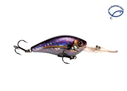 023-THREADFIN SHAD