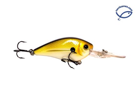 008-TENNESSEE SHAD