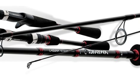 DAIWA CAÑA CASTING LAGUNA LAG601MHFB