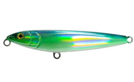 MACKEREL