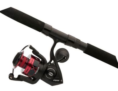 PENN COMBO SPINNING FIERCE IV FRCIV2500701ML
