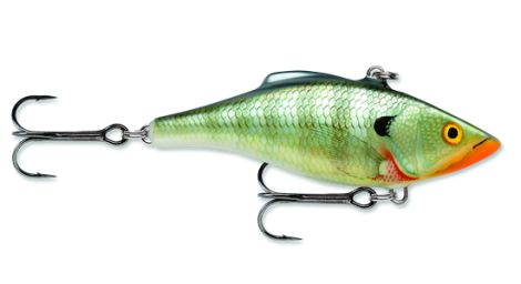 BG-BLUEGILL