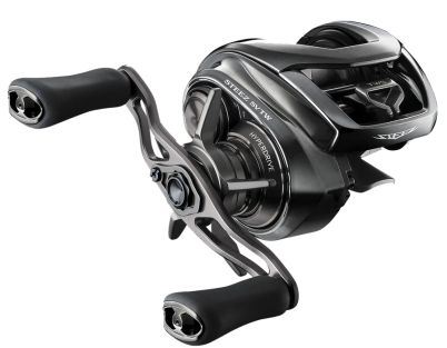 DAIWA CARRETE BAITCASTING 24 STEEZ SV STZSV100H