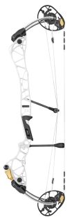 MATHEWS ARCO TITLE 34 DERECHO BLANCO