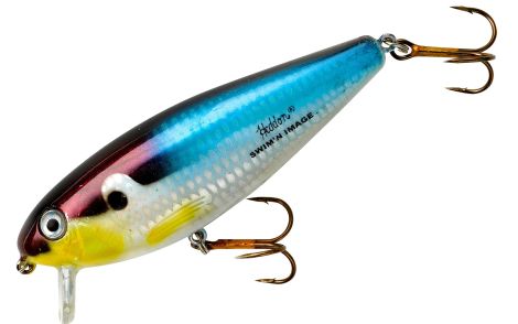DTFS-TENNESSEE SHAD