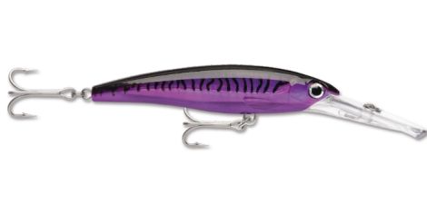 PM-PURPLE MACKEREL