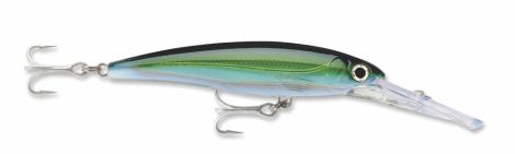YFT-YELLOWFIN TUNA 