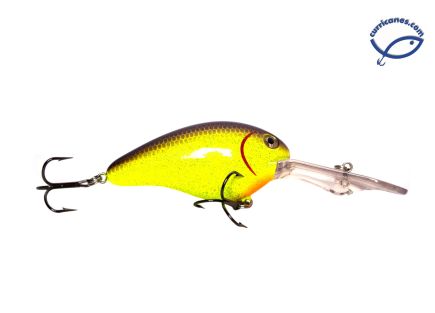 LIVINGSTON CURRICAN DIVE MASTER 20