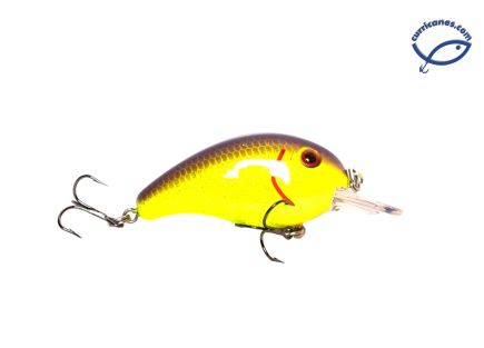 LIVINGSTON CURRICAN DIVE MASTER JR