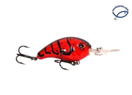 LIVINGSTON CURRICAN DIVE MASTER JR. 8